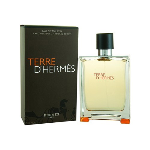 Hermes Terre D Hermes Erkek EDT 100ml ARC